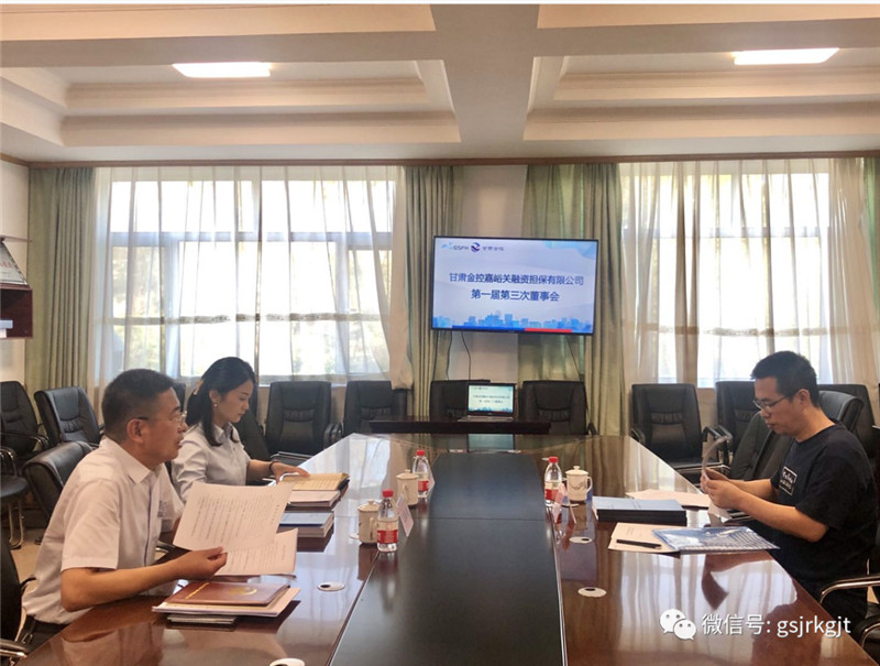 金控嘉峪關(guān)擔(dān)保召開第一屆董事第三次會議暨2020年度股東會